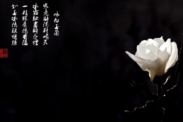 世界上最短的短文:仅一个字道尽千言万语524 / 作者:UFO爱好者 / 帖子ID:93535