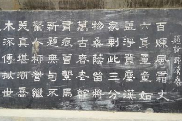 世界上最小的城:仅10平方厘米(境内只有一棵桑树)609 / 作者:UFO爱好者 / 帖子ID:93140
