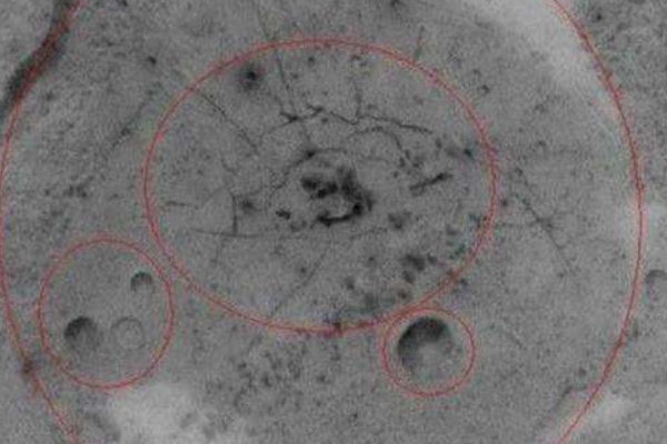 金星真的有文明存在吗?金星上发现大量金字塔建筑696 / 作者:UFO爱好者 / 帖子ID:73262