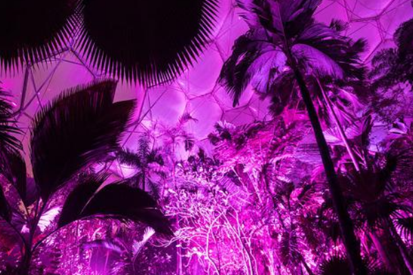世界上最大的室内灯光展:共用82万多个灯泡(60万人组织)856 / 作者:UFO爱好者 / 帖子ID:93012