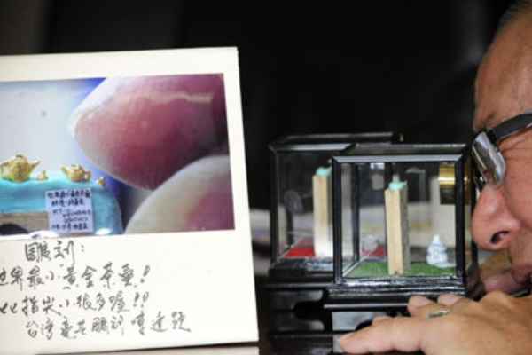 世界上最小的茶壶:壶身仅2.9毫米高(不到指甲盖大小)457 / 作者:UFO爱好者 / 帖子ID:92902
