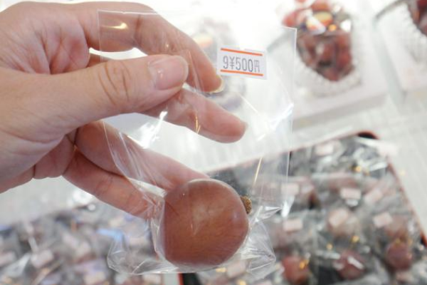世界上最贵的葡萄:26颗高达7万元(足足有乒乓球大小)904 / 作者:UFO爱好者 / 帖子ID:92887