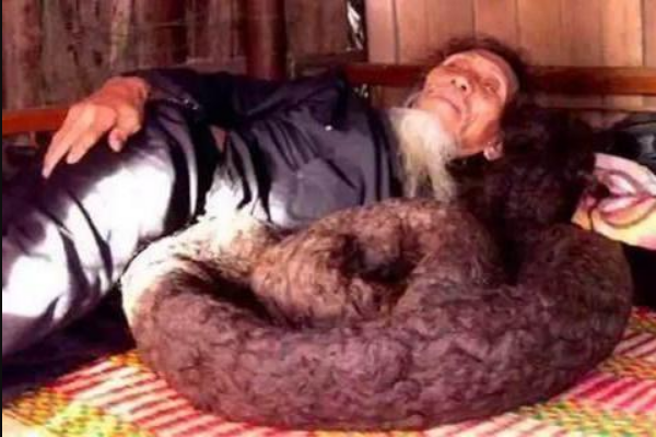 世界上头发最长的男人:头发像蟒蛇缠在头顶(长达6.8米)194 / 作者:UFO爱好者 / 帖子ID:92414