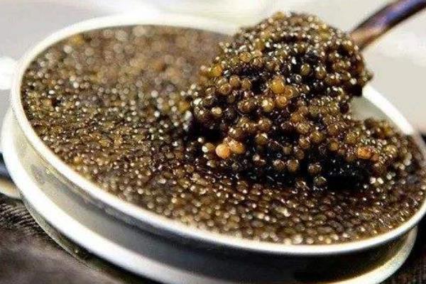 世界上最贵的鱼子酱:一勺价值4万美金(混合22k金粉)760 / 作者:UFO爱好者 / 帖子ID:90523