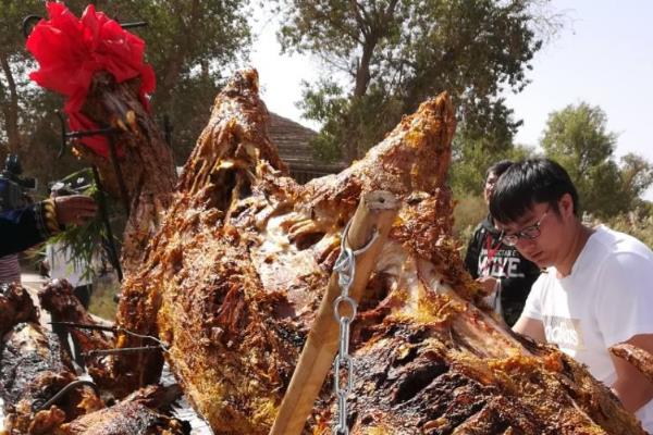 世界上最大的一道菜:几米长的烤骆驼(90人宴会上的硬菜)748 / 作者:UFO爱好者 / 帖子ID:90402