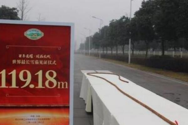 世界上最大的雪茄:是电线杆的3倍粗(1.6万片烟叶制成)636 / 作者:UFO爱好者 / 帖子ID:90345