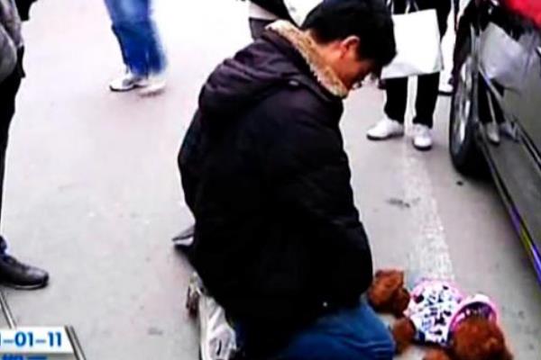 人跪狗事件怎么回事?两男子跪狗一小时(否则要赔偿五千)632 / 作者:UFO爱好者 / 帖子ID:101087