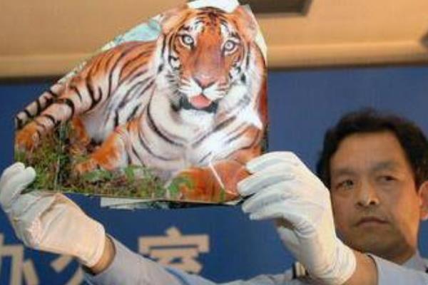 华南虎事件是怎么回事?一农民拍摄到华南虎(却被指造假)852 / 作者:UFO爱好者 / 帖子ID:101024
