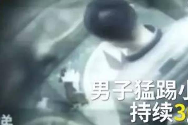 宜宾虐狗事件处理结果:连续半分钟踢踩小狗(过程残忍)475 / 作者:UFO爱好者 / 帖子ID:100755
