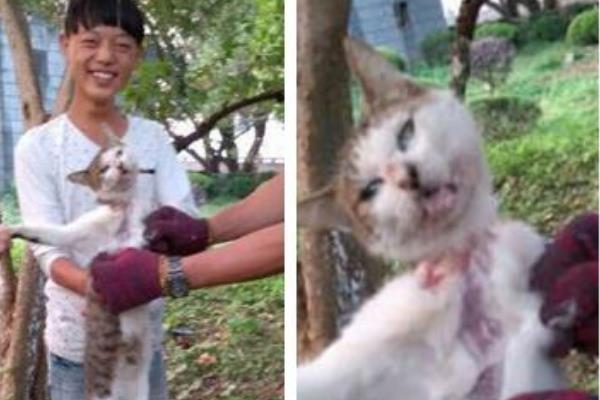 10·15浙江活剥小猫事件处理结果:女子活剥猫皮(笑容满面)114 / 作者:UFO爱好者 / 帖子ID:100756