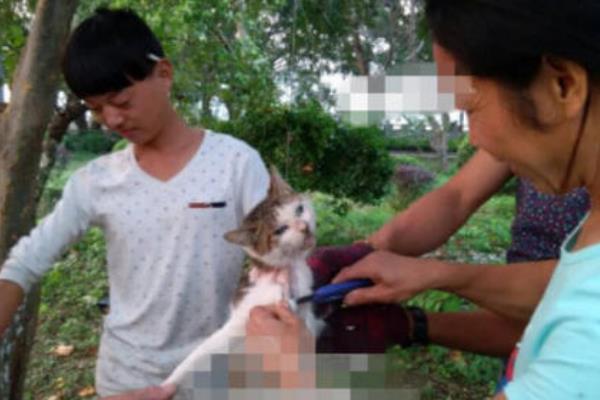 10·15浙江活剥小猫事件处理结果:女子活剥猫皮(笑容满面)253 / 作者:UFO爱好者 / 帖子ID:100756