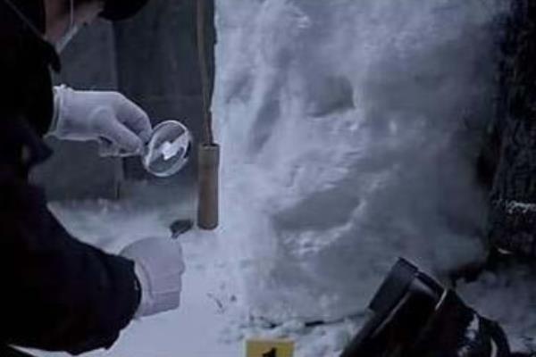 2007东北肢体雪人案破了吗?被十宗罪作为原型(残忍行凶)988 / 作者:UFO爱好者 / 帖子ID:100641