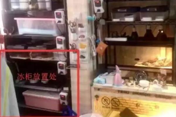 上海冰箱藏尸案执行死刑了吗?犯罪情节恶劣(维持原判死刑)140 / 作者:UFO爱好者 / 帖子ID:100639