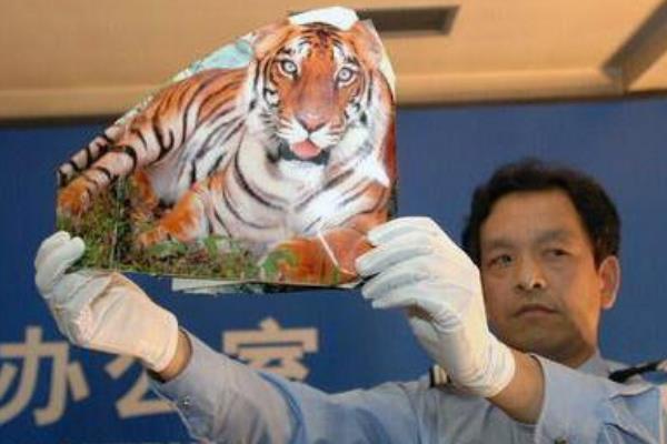 华南虎事件到底是真是假?农民拍摄华南虎照片(涉嫌造假)955 / 作者:UFO爱好者 / 帖子ID:100682