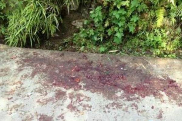 遵义狗咬死人事件:一只撕咬一只看守(老人被拖行数十米)292 / 作者:UFO爱好者 / 帖子ID:100681