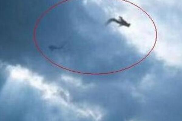 巨蟒事件是真的假的?安徽深山中腾飞巨蟒(假的不可信)982 / 作者:UFO爱好者 / 帖子ID:100598