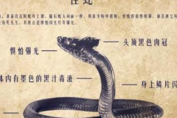 鬼吹灯十大凶物排行:第一是终极Boss(一碰就腐化为血水)199 / 作者:UFO爱好者 / 帖子ID:75658