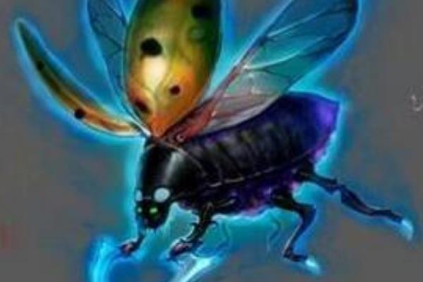 火瓢虫是真实存在的吗?原型来自鬼火(一碰就烧为灰烬)168 / 作者:UFO爱好者 / 帖子ID:75661