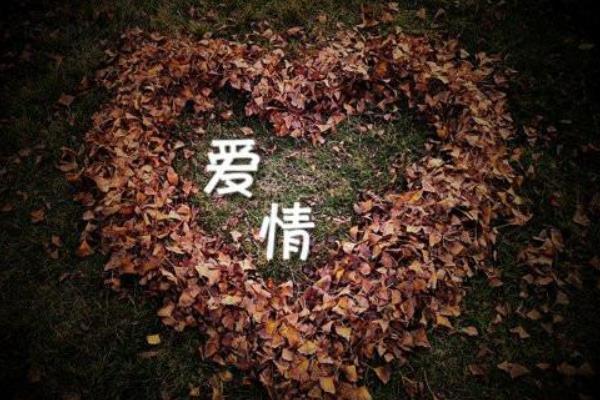 442235代表什么意思?谐音时时刻刻想我(含蓄的爱情表白)480 / 作者:UFO爱好者 / 帖子ID:75420