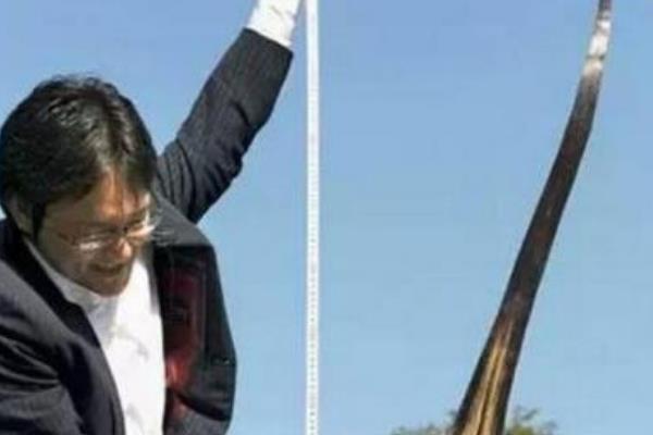世界上最高的莫西干发型:高高耸立在头顶(全长1.18米)409 / 作者:UFO爱好者 / 帖子ID:90048