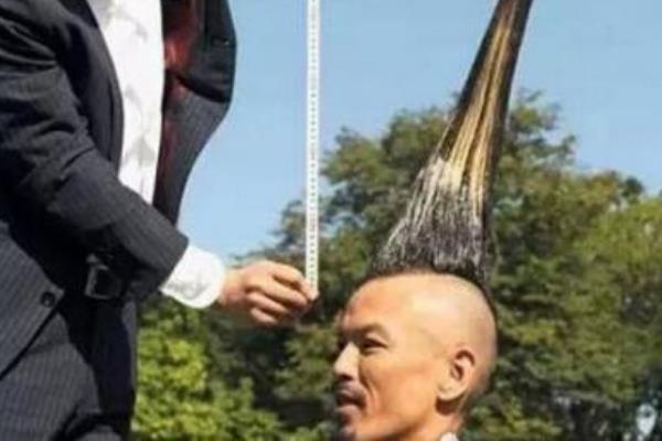 世界上最高的莫西干发型:高高耸立在头顶(全长1.18米)17 / 作者:UFO爱好者 / 帖子ID:90048