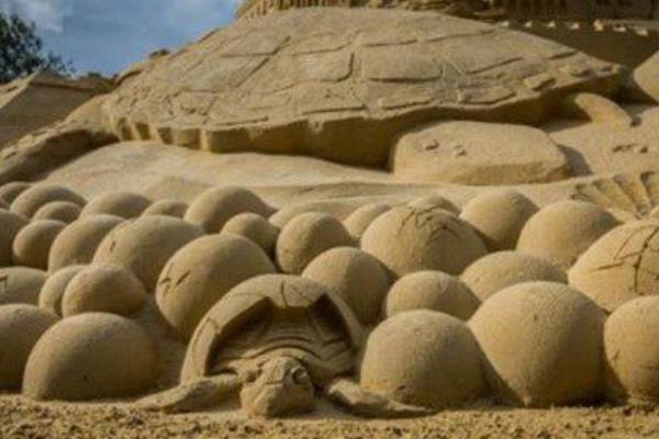 世界上最高的沙雕城堡:使用了3500吨沙子(总高16米多)150 / 作者:UFO爱好者 / 帖子ID:90040