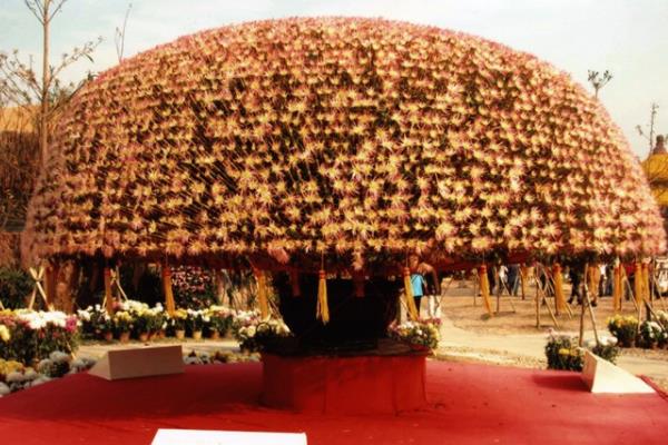 世界上最高的花卉楼:仿造滕王阁建造(高达23.438米)822 / 作者:UFO爱好者 / 帖子ID:89995