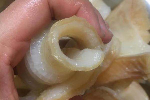 鱼唇是鱼的哪个部位?鲨鱼的嘴巴和皮(Q弹爽滑/止痛明目)900 / 作者:UFO爱好者 / 帖子ID:73991
