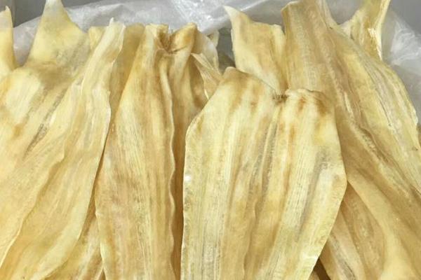 鱼唇和鱼胶有什么区别?都属于海八珍之一(产出来源不同)568 / 作者:UFO爱好者 / 帖子ID:73903
