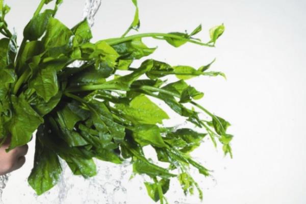 五毒菜是哪五种蔬菜?寓意消灭五毒(是端午节传统习俗)599 / 作者:UFO爱好者 / 帖子ID:73713