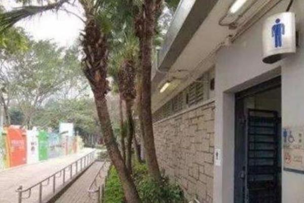 维多利亚公园厕所事件真相:少女被奸杀镜中显灵(系谣言)457 / 作者:UFO爱好者 / 帖子ID:99586