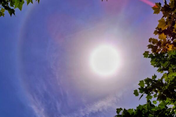 日晕预示着什么灾难?古人认为是臣下弑君(战争的征兆)543 / 作者:UFO爱好者 / 帖子ID:70465