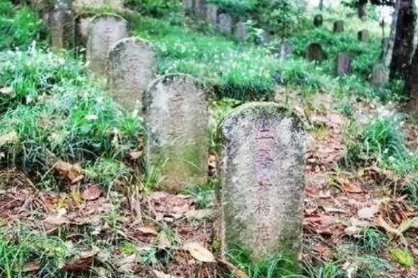 缅甸野人山有多恐怖?四万军人穿越后仅剩千人(充满毒虫)822 / 作者:UFO爱好者 / 帖子ID:71200