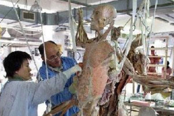 生物塑化是用真人吗?尸体制成橡胶状(能保肉身不腐)294 / 作者:UFO爱好者 / 帖子ID:71019