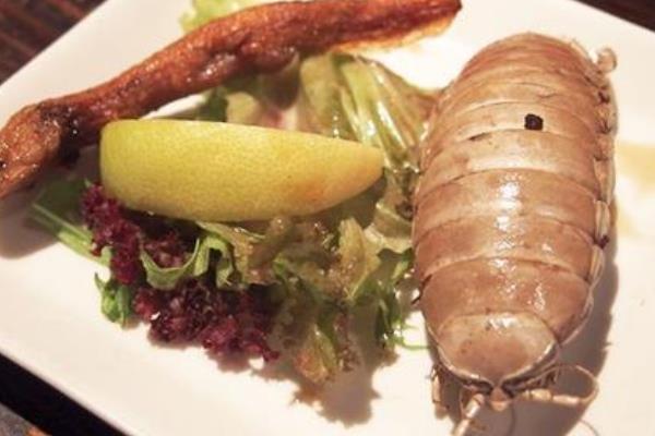 大王具足虫能吃吗?日本人最爱油炸吃(味道就像龙虾)16 / 作者:UFO爱好者 / 帖子ID:70634