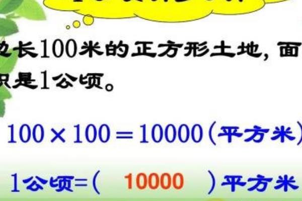 一公顷等于多少亩?相当于一个半标准足球场大小911 / 作者:UFO爱好者 / 帖子ID:68628