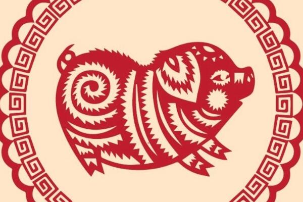 95年属什么?1995年是亥猪年(和属虎的人最相配)215 / 作者:UFO爱好者 / 帖子ID:68226