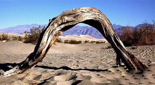 世界之谜:让人闻风丧胆的死人谷藏着什么秘密？858 / 作者:UFO爱好者 / 帖子ID:79294
