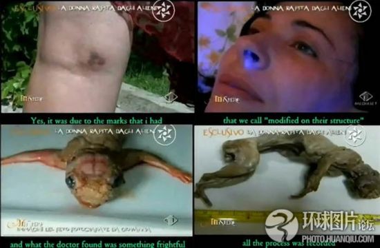震惊全球的真假“外星人”事件770 / 作者:UFO爱好者 / 帖子ID:90589