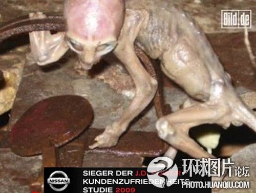 震惊全球的真假“外星人”事件977 / 作者:UFO爱好者 / 帖子ID:90589