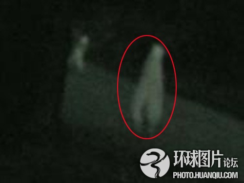 震惊全球的真假“外星人”事件238 / 作者:UFO爱好者 / 帖子ID:90589