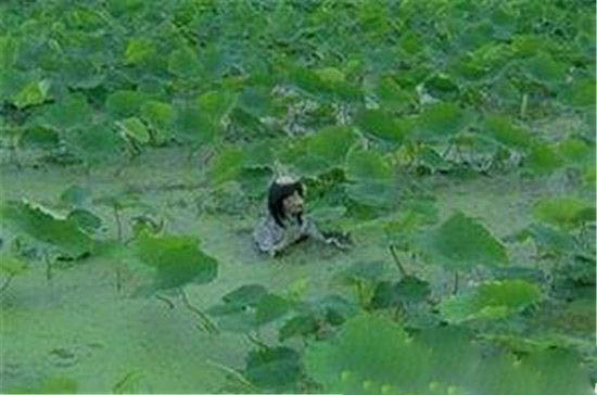 世界八大怪异生物，竟然隐居在现实世界之中！423 / 作者:UFO爱好者 / 帖子ID:85023