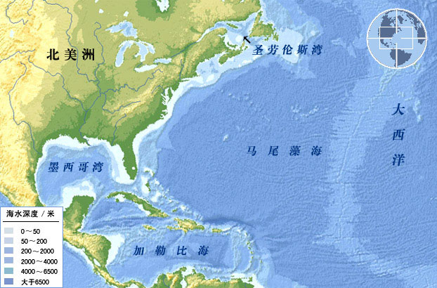 马尾藻海中的绿色“陷阱”378 / 作者:UFO爱好者 / 帖子ID:70371 马尾藻海中的绿色“陷阱”378 / 作者:UFO爱好者 / 帖子ID:70371