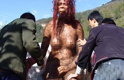 揭开湖北神农架野人之谜（图片）183 / 作者:UFO爱好者 / 帖子ID:85322