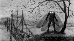 十大神秘生物未解之谜362 / 作者:UFO爱好者 / 帖子ID:85063