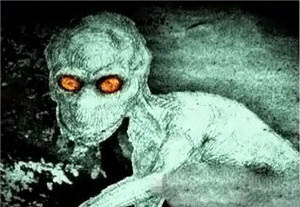 十大神秘生物未解之谜16 / 作者:UFO爱好者 / 帖子ID:85063