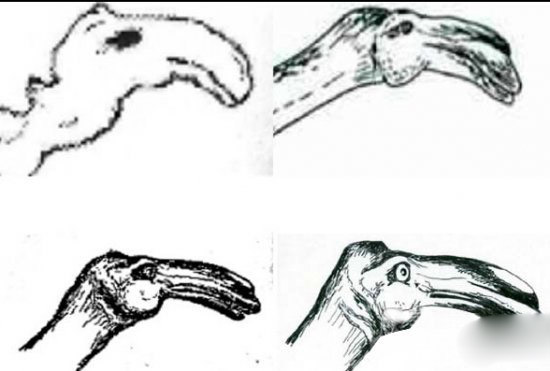 卡布罗龙,世界真实存在水怪797 / 作者:UFO爱好者 / 帖子ID:77659