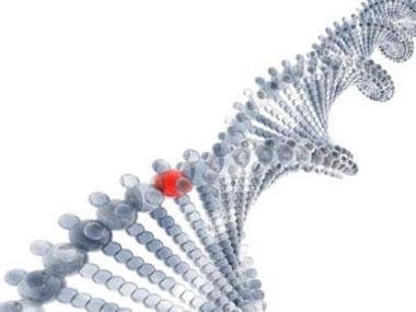 俄发现不明生物拥有奇特DNA 疑为外星人751 / 作者:UFO爱好者 / 帖子ID:75686