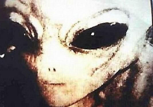 UFO外星人尸体(多图)480 / 作者:UFO爱好者 / 帖子ID:89971