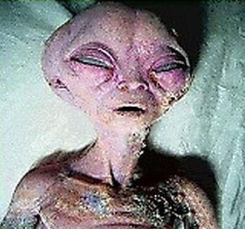 UFO外星人尸体(多图)729 / 作者:UFO爱好者 / 帖子ID:89971